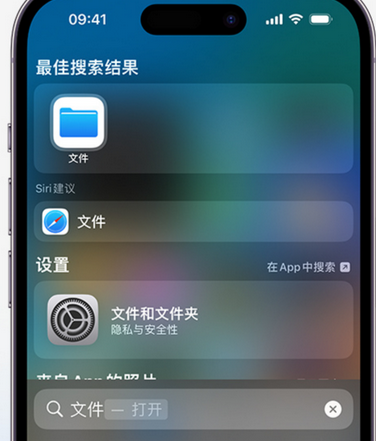 海兴apple维修中心分享iPhone文件应用中存储和找到下载文件