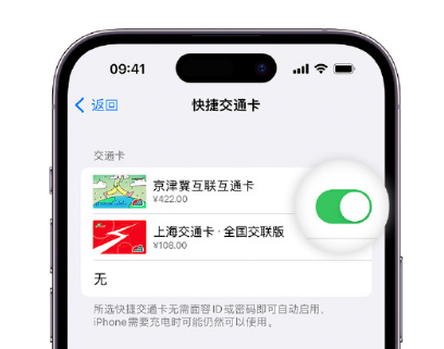 海兴apple维修点分享iPhone上更换Apple Pay快捷交通卡手绘卡面 