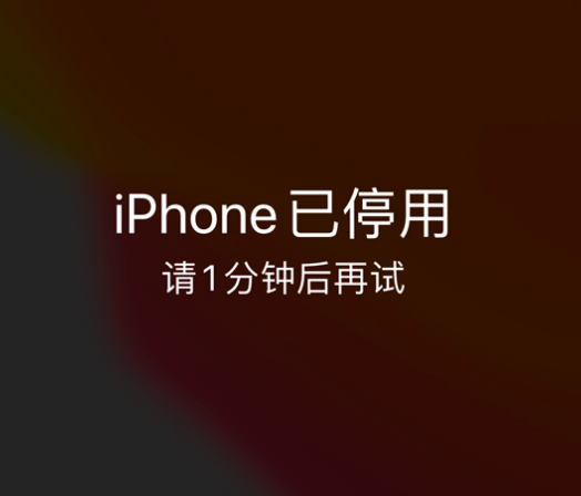 海兴苹果手机维修分享:iPhone 显示“不可用”或“已停用”怎么办？还能保留数据吗？ 