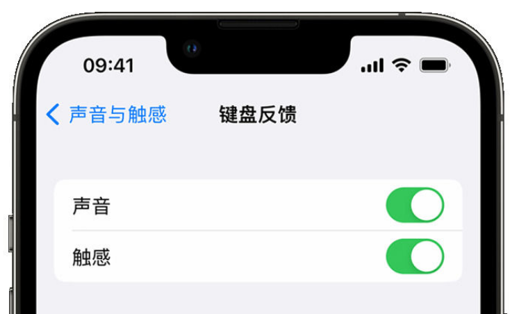 海兴苹果手机维修分享iPhone 14触感键盘使用方法 