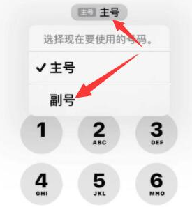 海兴苹果14维修店分享iPhone 14 Pro Max使用副卡打电话的方法 