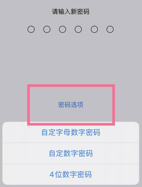 海兴苹果14维修分享iPhone 14plus设置密码的方法 