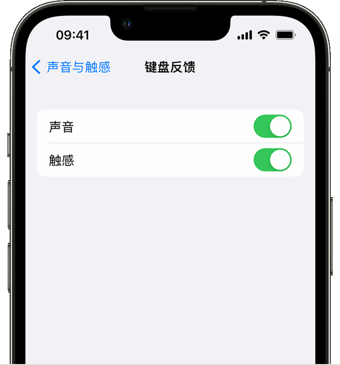 海兴苹果14维修分享iPhone 14 系列机型如何开启键盘声音或触感反馈 