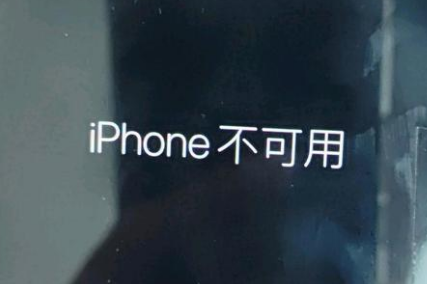 海兴苹果服务网点分享锁屏界面显示“iPhone 不可用”如何解决 