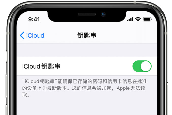 海兴苹果手机维修分享在 iPhone 上开启 iCloud 钥匙串之后会储存哪些信息 