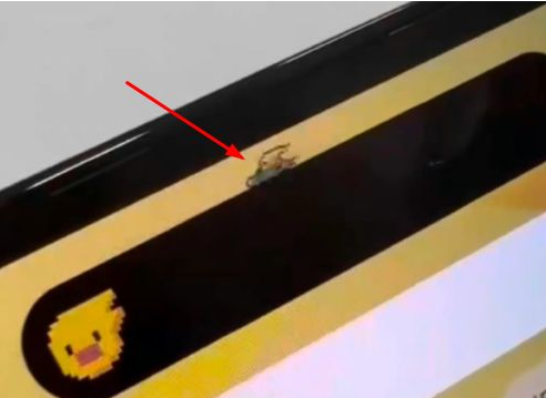 海兴苹果14维修分享iPhone 14 Pro Max灵动岛怎么养宠物 