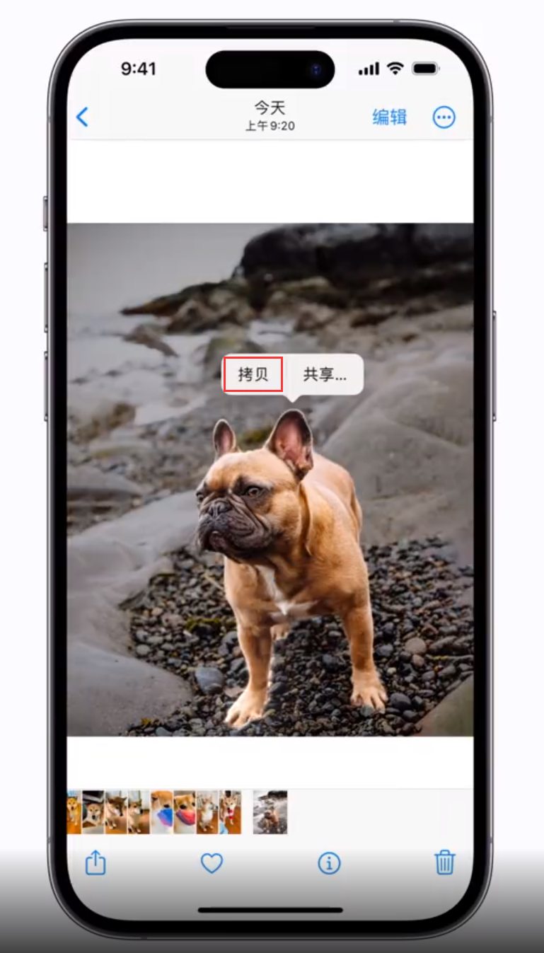 海兴苹果手机维修分享 iOS 16 自带一键抠图功能 
