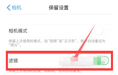 海兴苹果13维修分享iPhone13拍照有绿点是怎么回事 