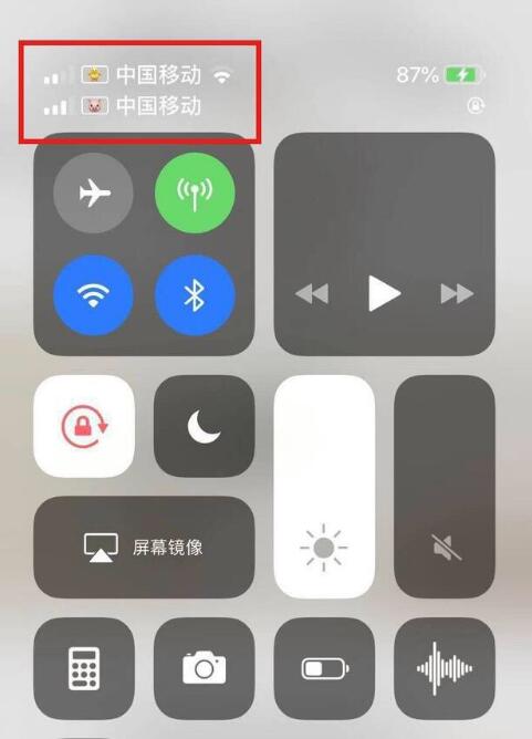 海兴苹果手机维修分享为 iPhone 12 双卡设置标签 